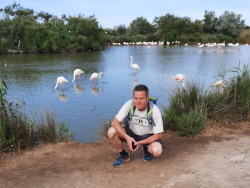 Camargue 2022