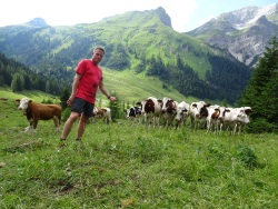 sterreich 2019