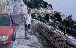 Provence 1999